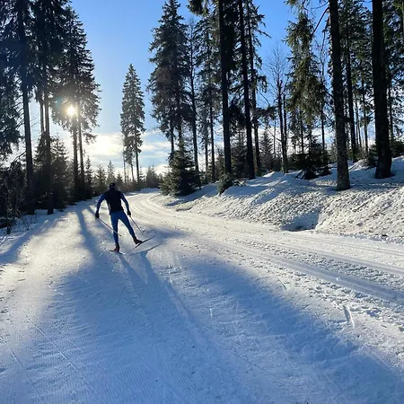 Sumavsky Skritek