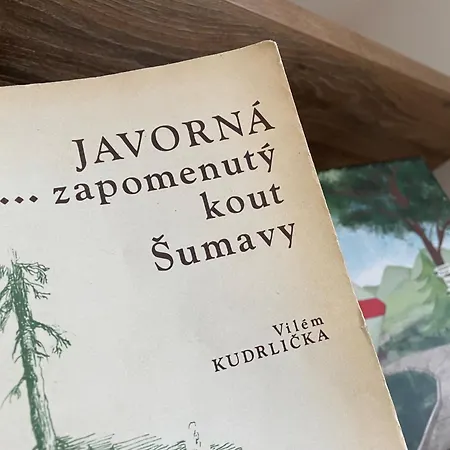 Sumavsky Skritek Apartment *