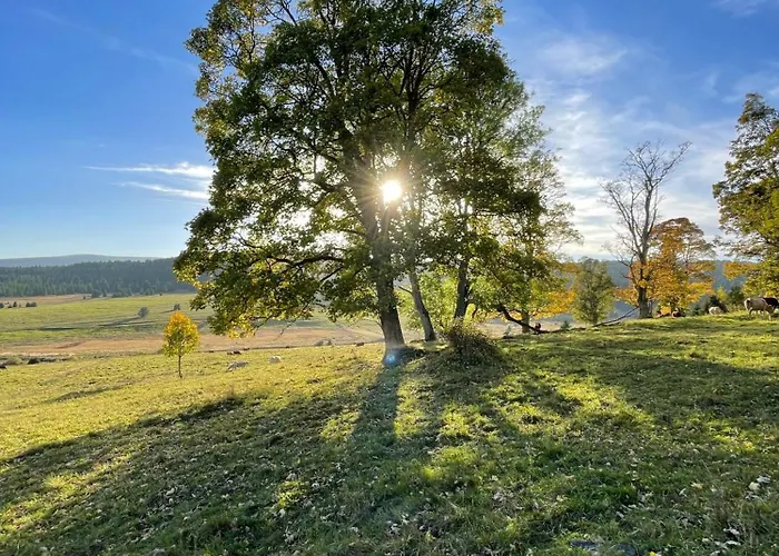 šumavský Skřítek Apartamento Cachrov